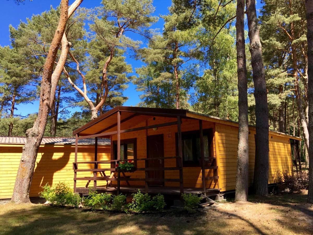Camping Lebski