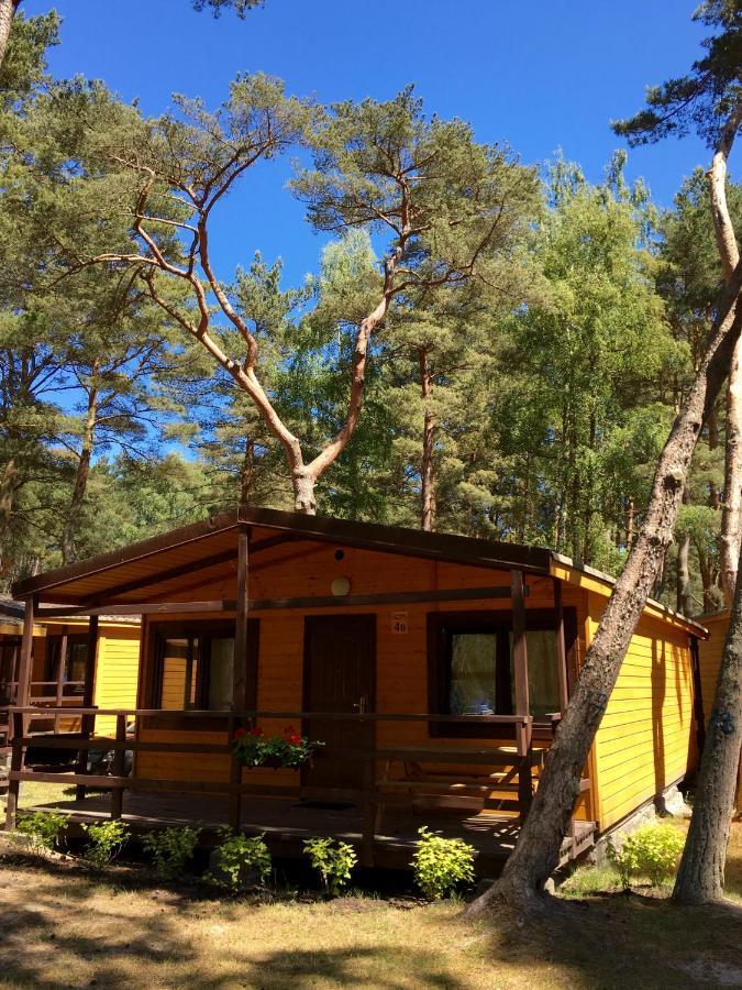 Lebski Campsite *
