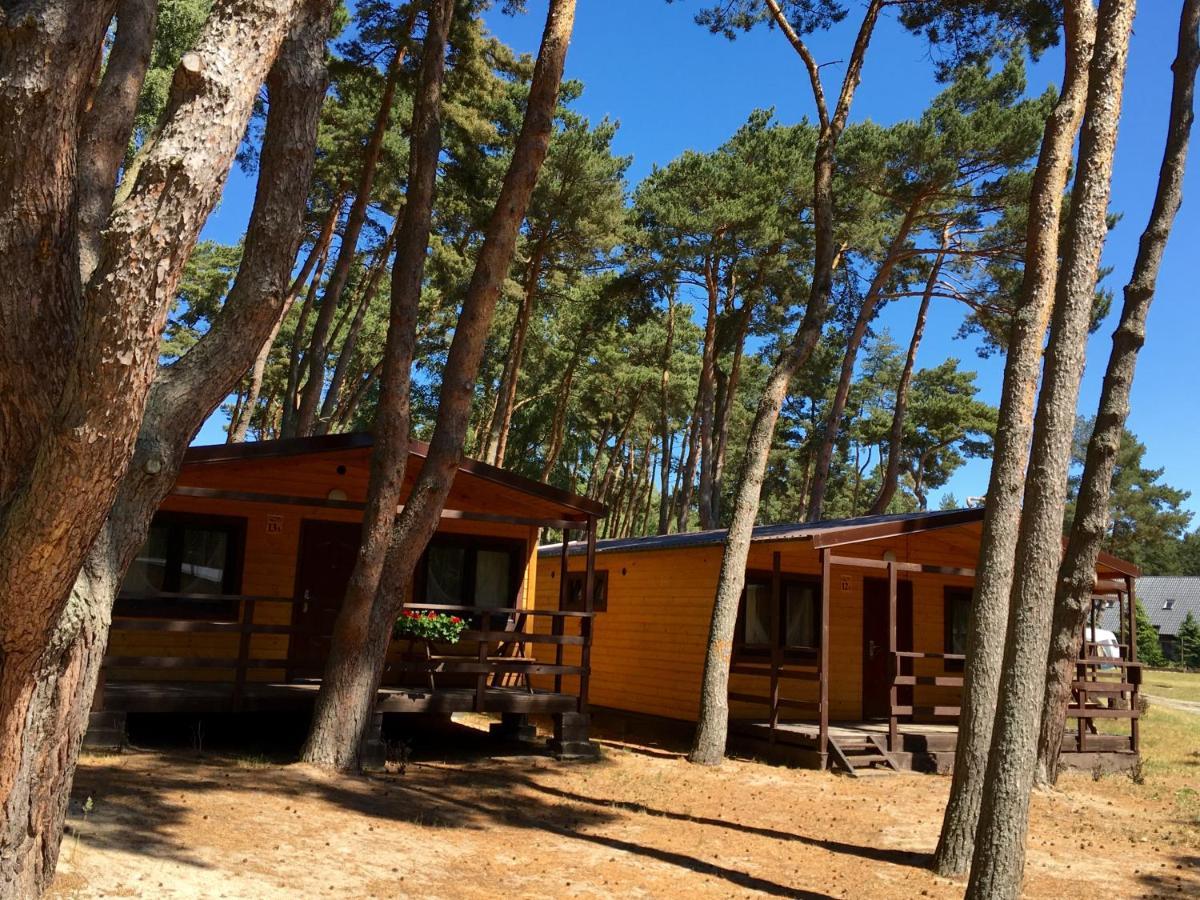 Camping Lebski Łeba