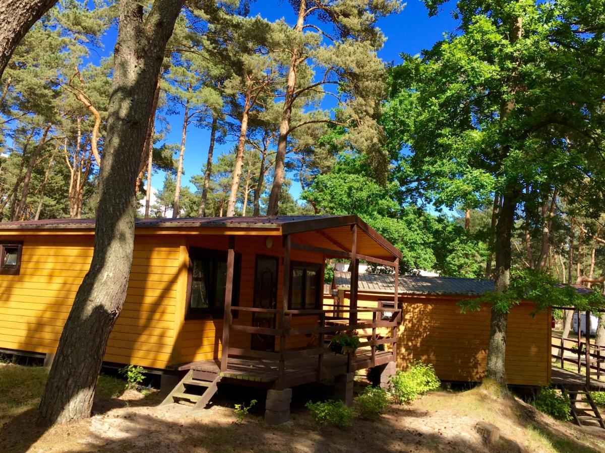 Camping Lebski